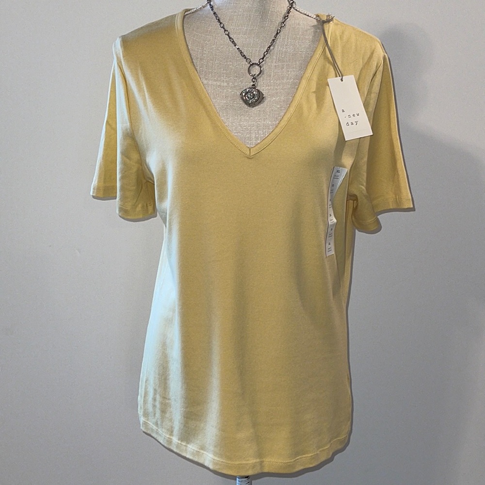 NWT A New Day Top